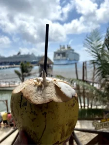 C6603235-EB18-40F5-9383-0A2864EBED90